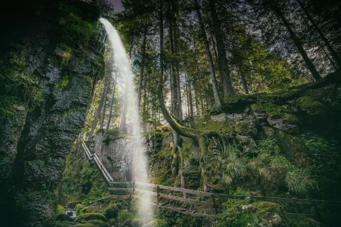 waterfall on forest