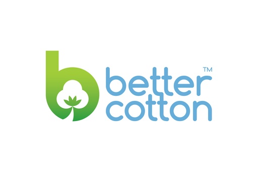 Decent Work Risk Assessment in Better Cotton-producing Countries in Africa