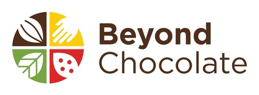 Design of the accountability, monitoring and evaluation (AME) framework for the Beyond Chocolate Partnership and support its implementation
