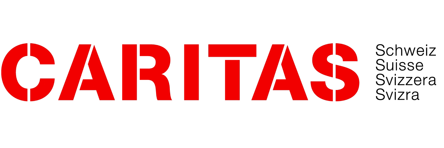 Designing a Social Enterprise Strategy and Governance Policy for Caritas Lebanon