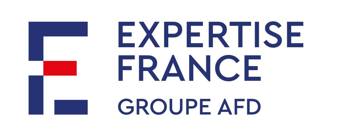 Support to the Covid platform in terms of project engineering - Health Department Expertise France