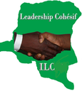 Facilitator of the institutional reflection of the Initiative for Cohesive Leadership
